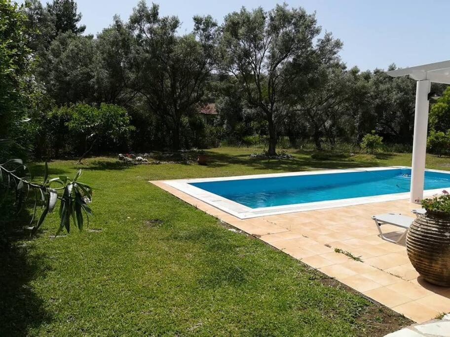 Villa Erietta Near Lefkas Center Apolpaina Dış mekan fotoğraf