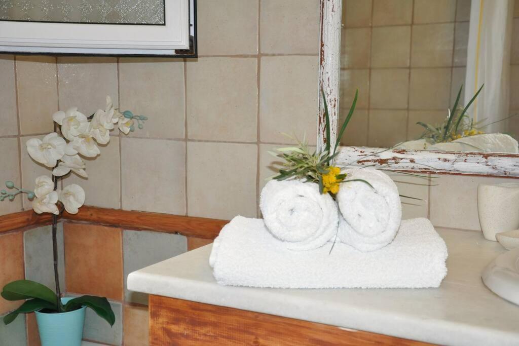 Villa Erietta Near Lefkas Center Apolpaina Dış mekan fotoğraf