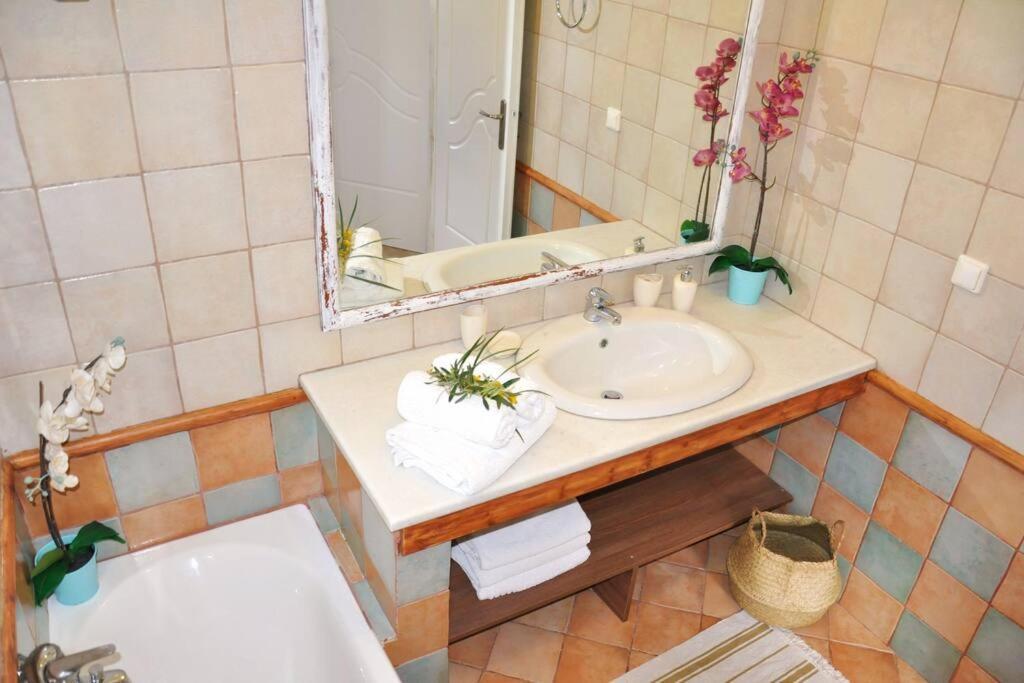 Villa Erietta Near Lefkas Center Apolpaina Dış mekan fotoğraf