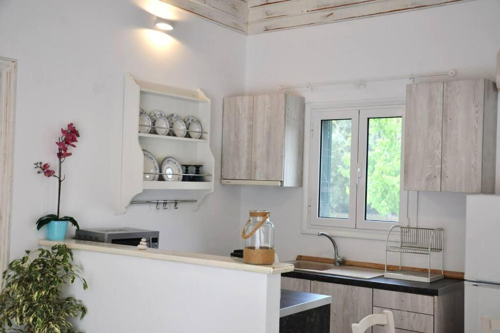 Villa Erietta Near Lefkas Center Apolpaina Dış mekan fotoğraf