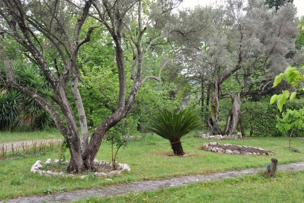 Villa Erietta Near Lefkas Center Apolpaina Dış mekan fotoğraf